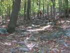 Rocky way down
Me  
Matt