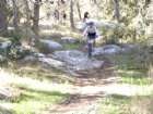 ���� ����- ����� �����