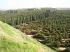 �� ���� ��� �����