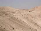 �����
����� �����
���� ���