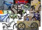 extr
bikes
ady