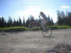 mini dirt...