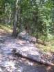 The white trail
Suger Loaf Mountain
Nathan