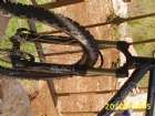 ����� ����
manitou black elite
���