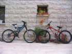my bikes
����� ���� ������� ��� 2004 �� ���� �� ����� cowan
���