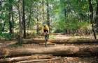 Surfing the Logs
Log Crossing at Schafer
Tal