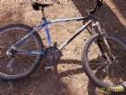 Decathlon
Tzvi&acute;s bike
���