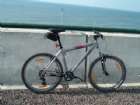 My 1st Specialized
�������� ...
���