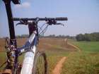 The Ride Never Ends
Scalpel on the Lookout
Nathan