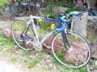merida 904
����