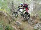 P1020390.JPG