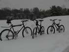 Bikes in the Snow
Scalpel Titus G. fisher
Nathan