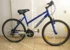 raleigh
ran dorel