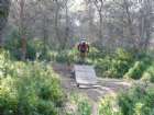 Picture 004.jpg