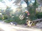 mirav