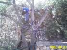 RECO0015.JPG