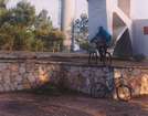 backyard
riding around in the backyard
e